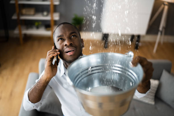 Best Ceiling water damage repair  in Wapakoneta, OH