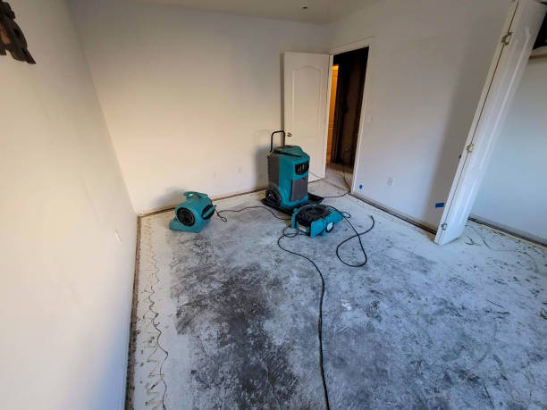 Best Emergency water damage restoration  in Wapakoneta, OH