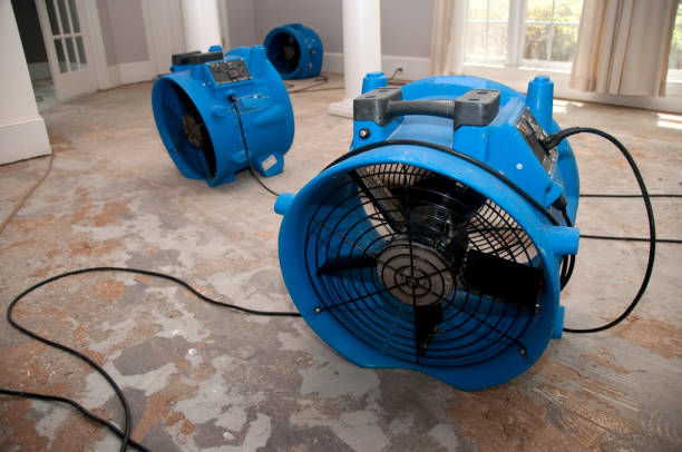 Best Water damage contractors near me  in Wapakoneta, OH