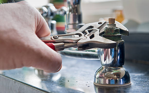 Best Flood damage cleanup  in Wapakoneta, OH