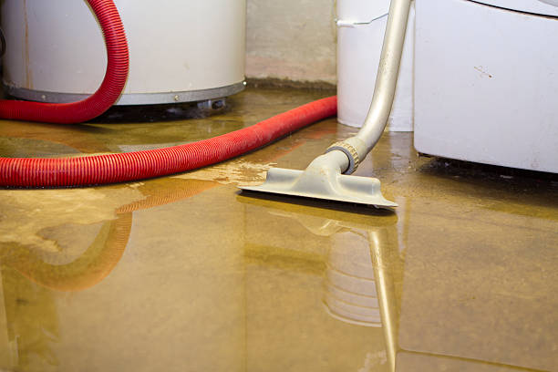 Best Local water damage restoration  in Wapakoneta, OH