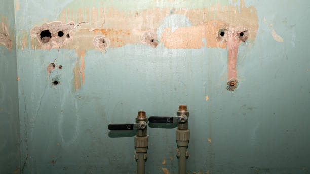 Best Residential water damage restoration  in Wapakoneta, OH