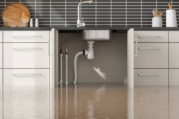 Best Water damage contractors near me  in Wapakoneta, OH