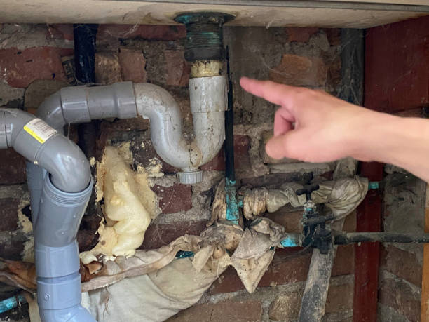 Best Sewage cleanup and water damage restoration  in Wapakoneta, OH