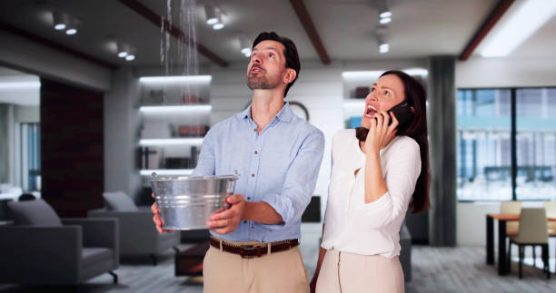 Best Water damage cleanup near me  in Wapakoneta, OH